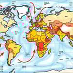 Geopolitical Shocks and Their Echo in the Markets